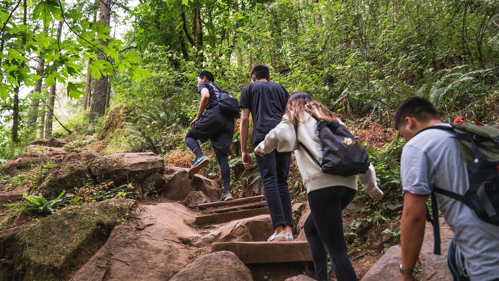 Students hike a wooded trail near Eugene.