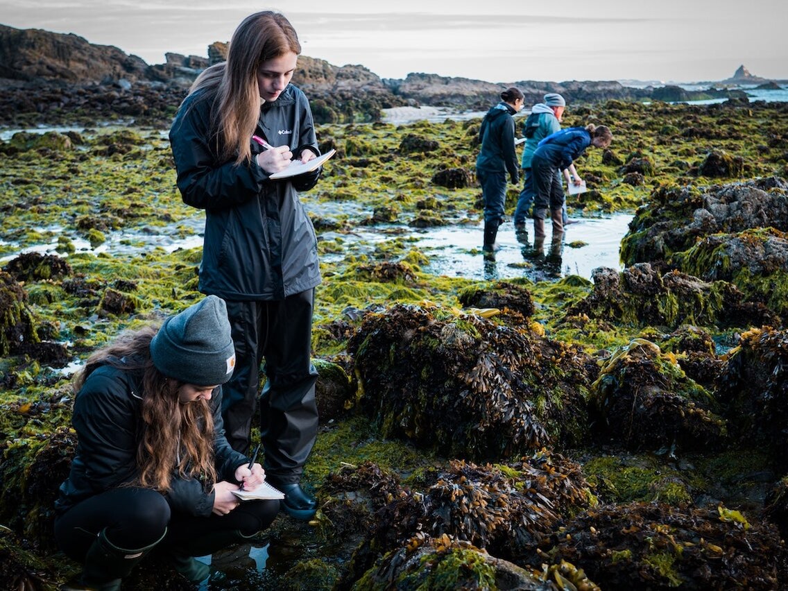 Students study marine life along the Oregon coast.