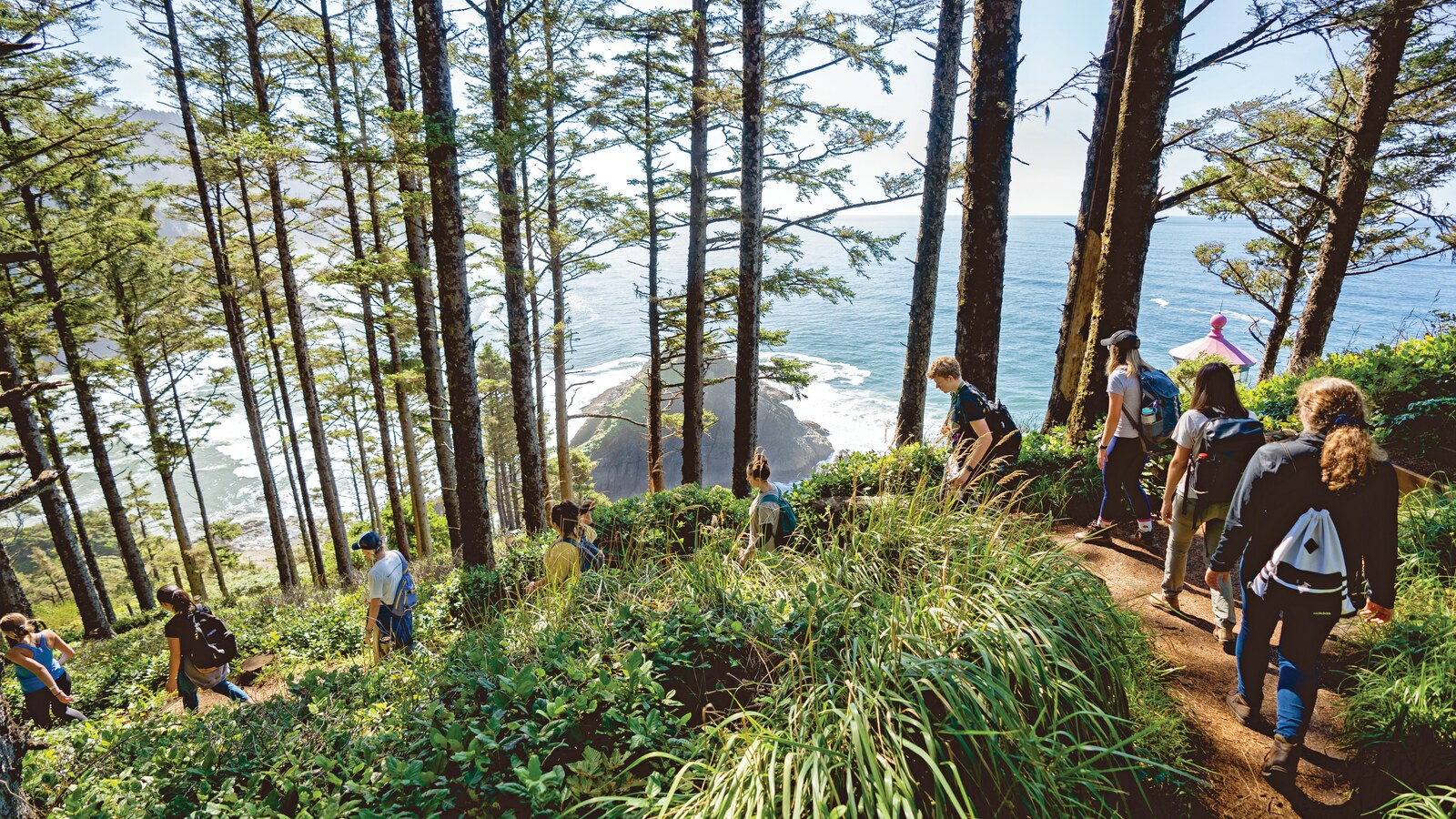 Students hike through a coastal forest overlooking the Pacific Ocean.